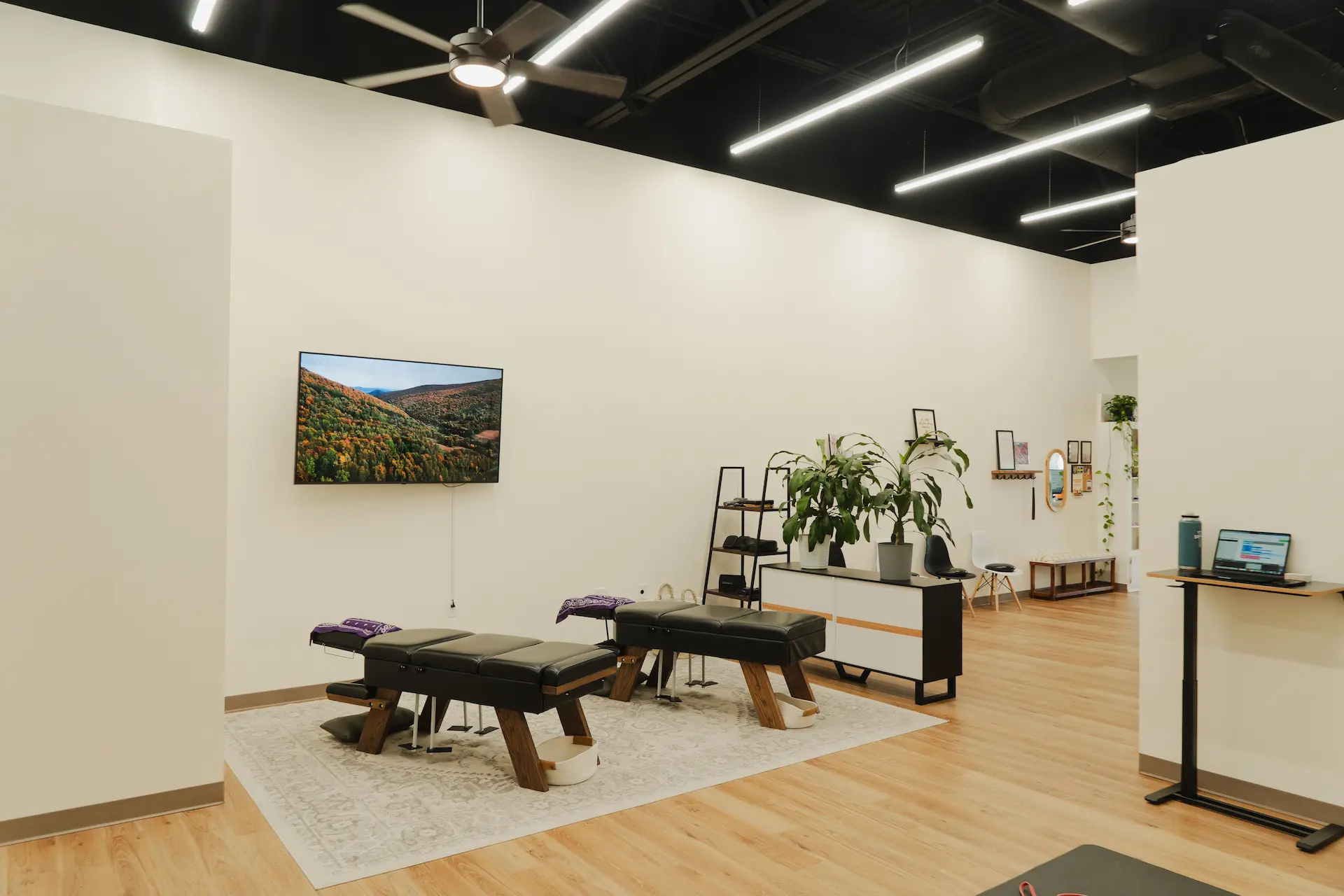 A modern wellness room with two black treatment tables on a rug, a TV displaying a forest, plants, and a standing desk with a laptop.